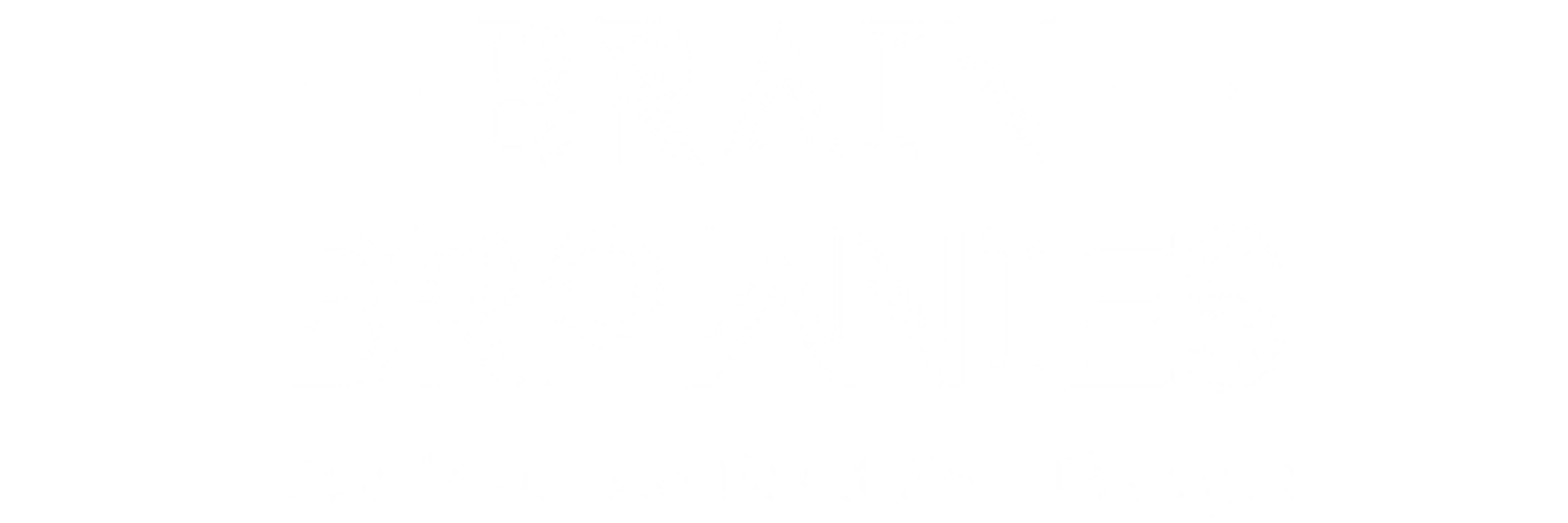 brain brownies logo